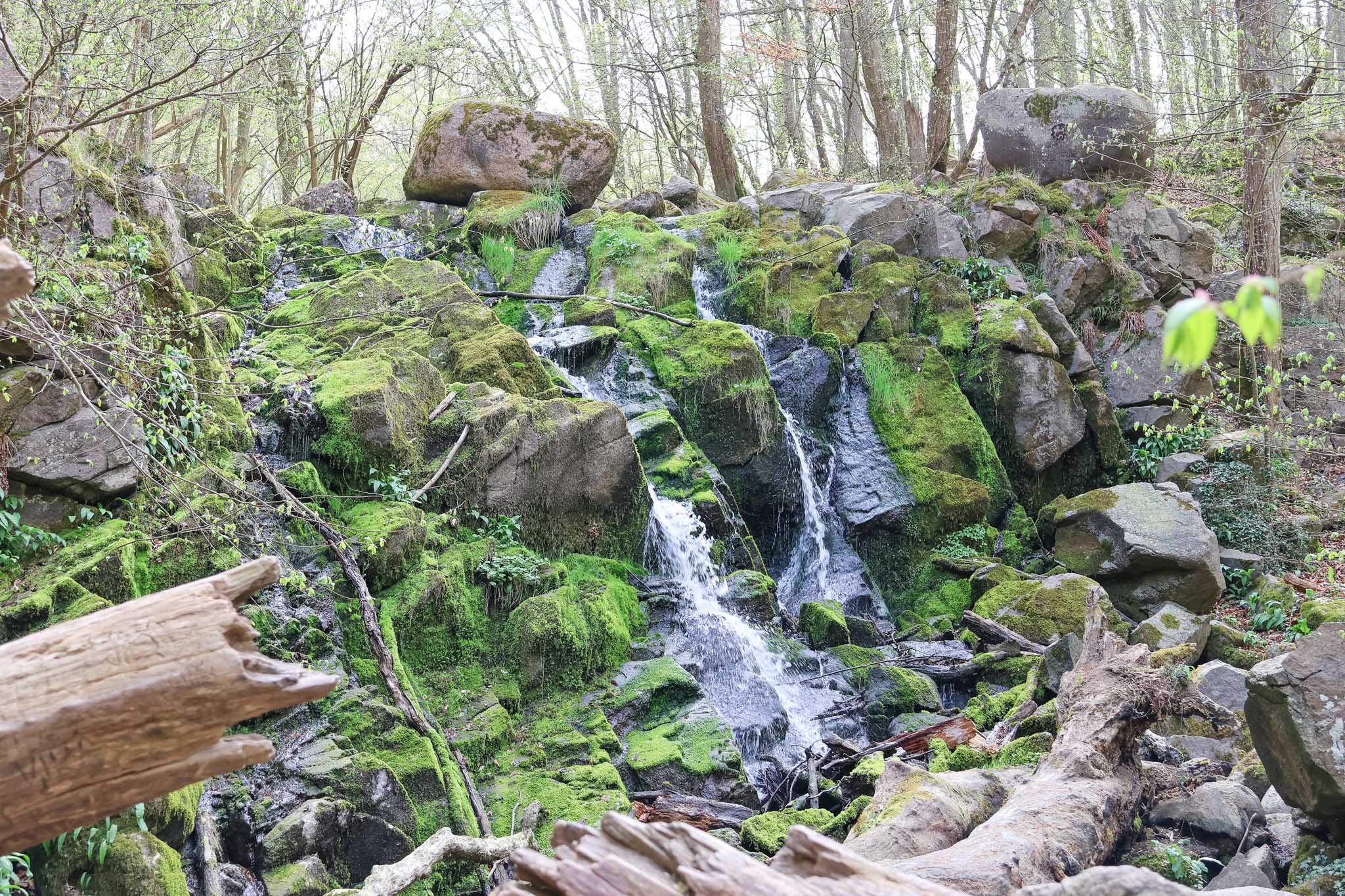Døndalen op Bornholm