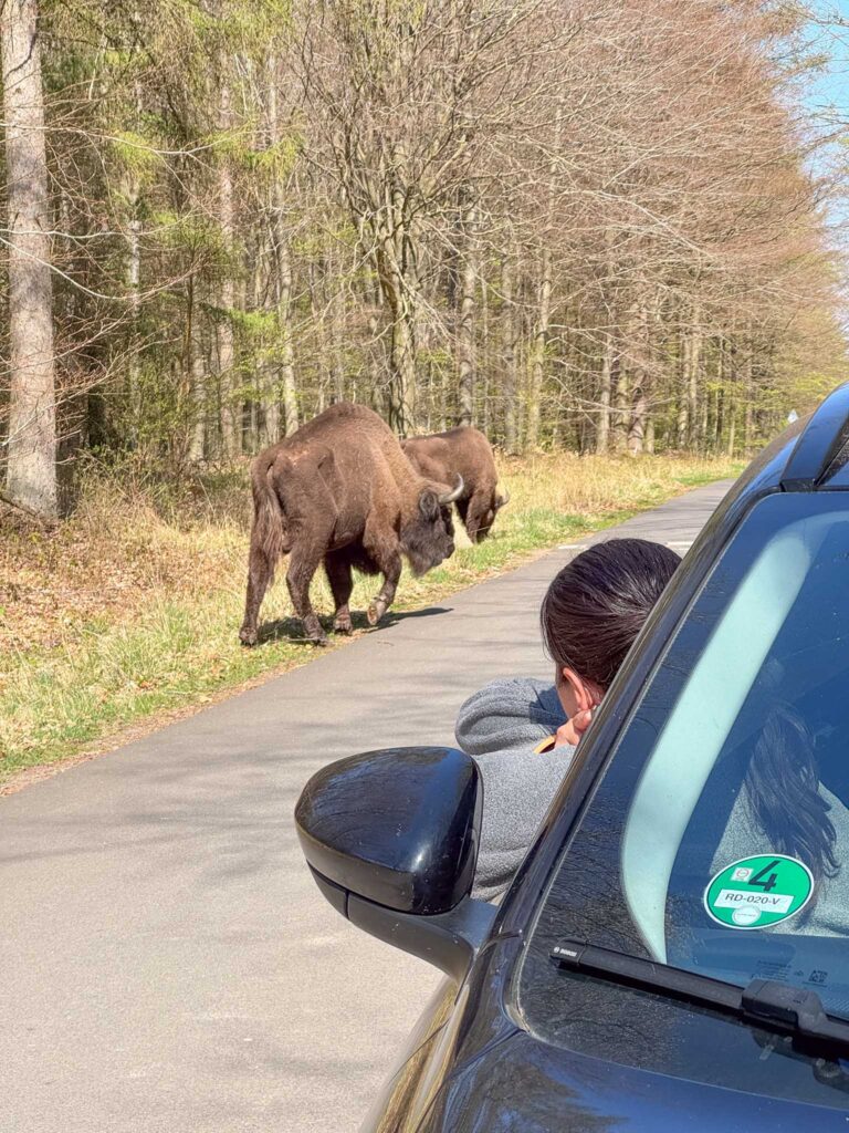 Wandelen op Bornholm