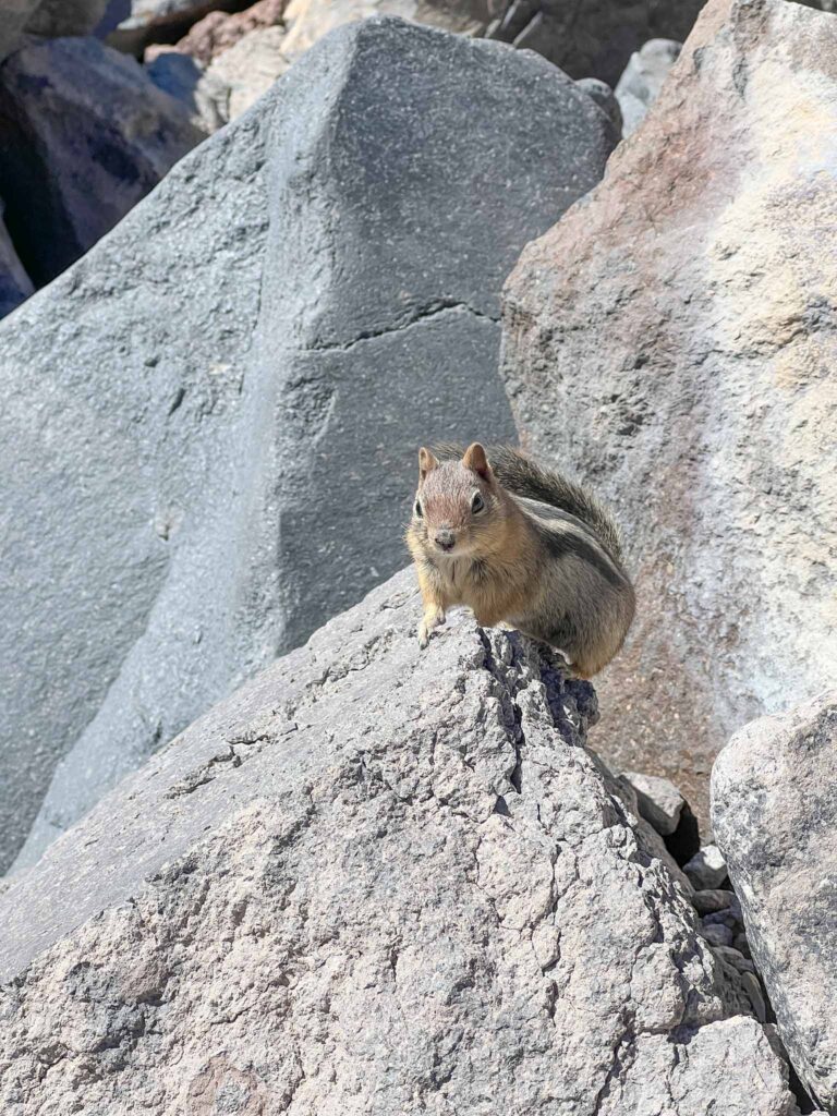 Cleetwood Cove Trail