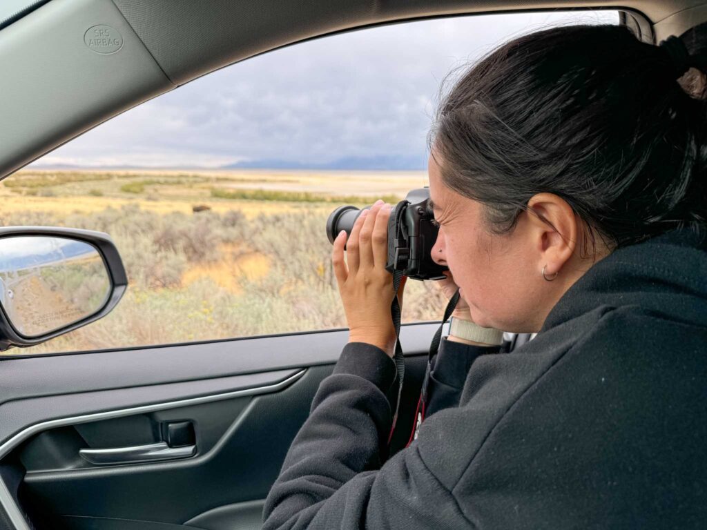 Antelope Island State Park