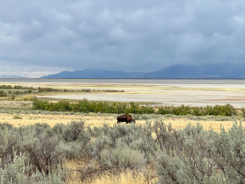 Antelope Island State Park