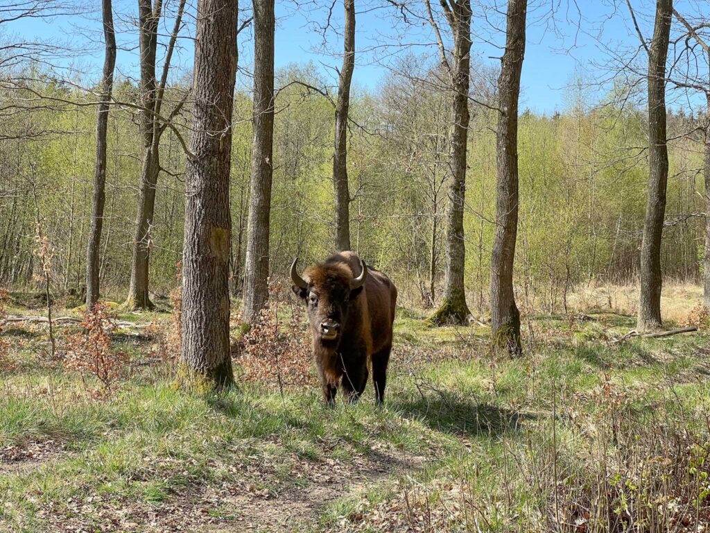 Wandelen op Bornholm