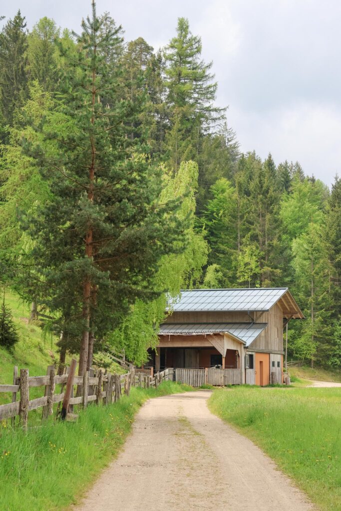 Bee Forrest Eggental