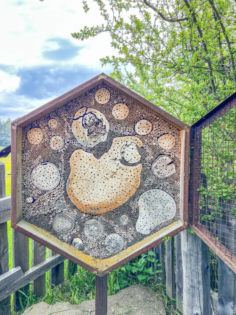 Bee Forrest Eggental