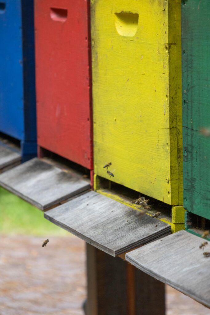 Bee Forrest Eggental